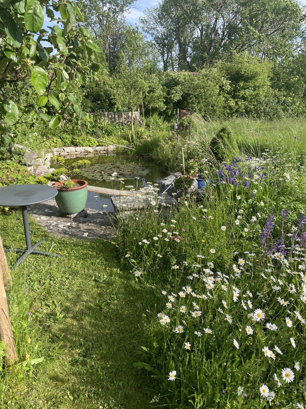 biotope